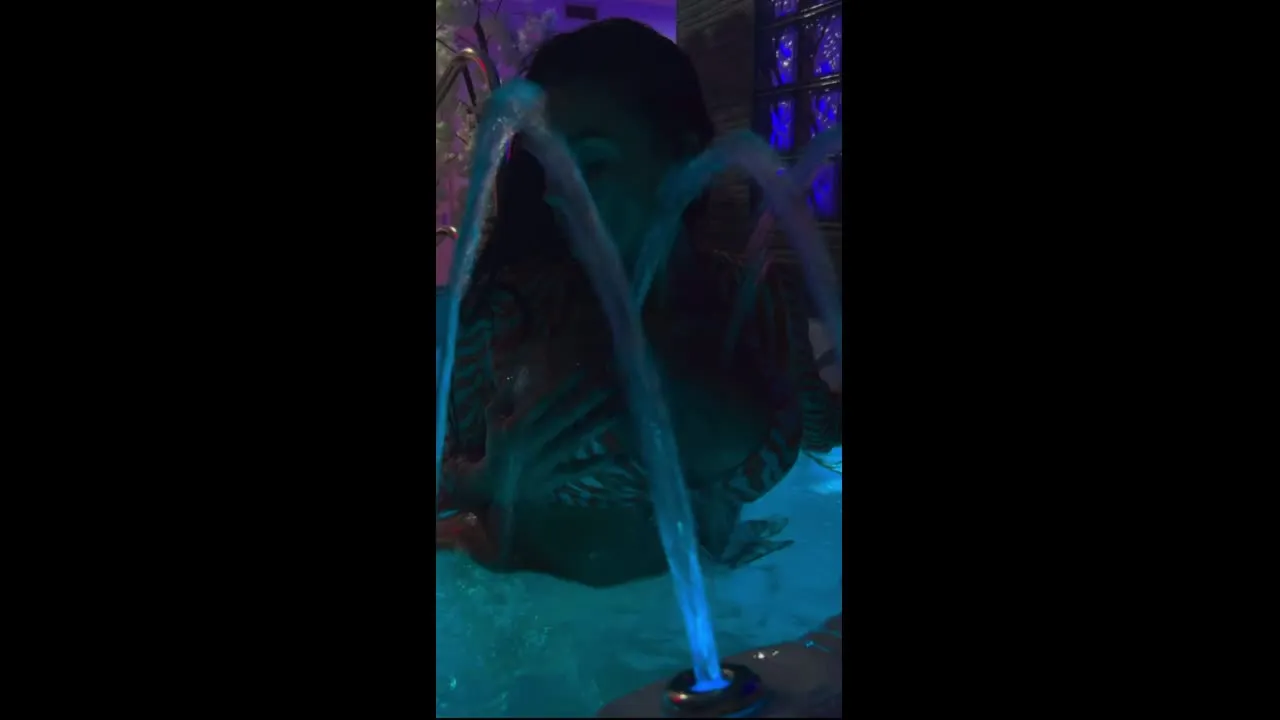 Splish Splash