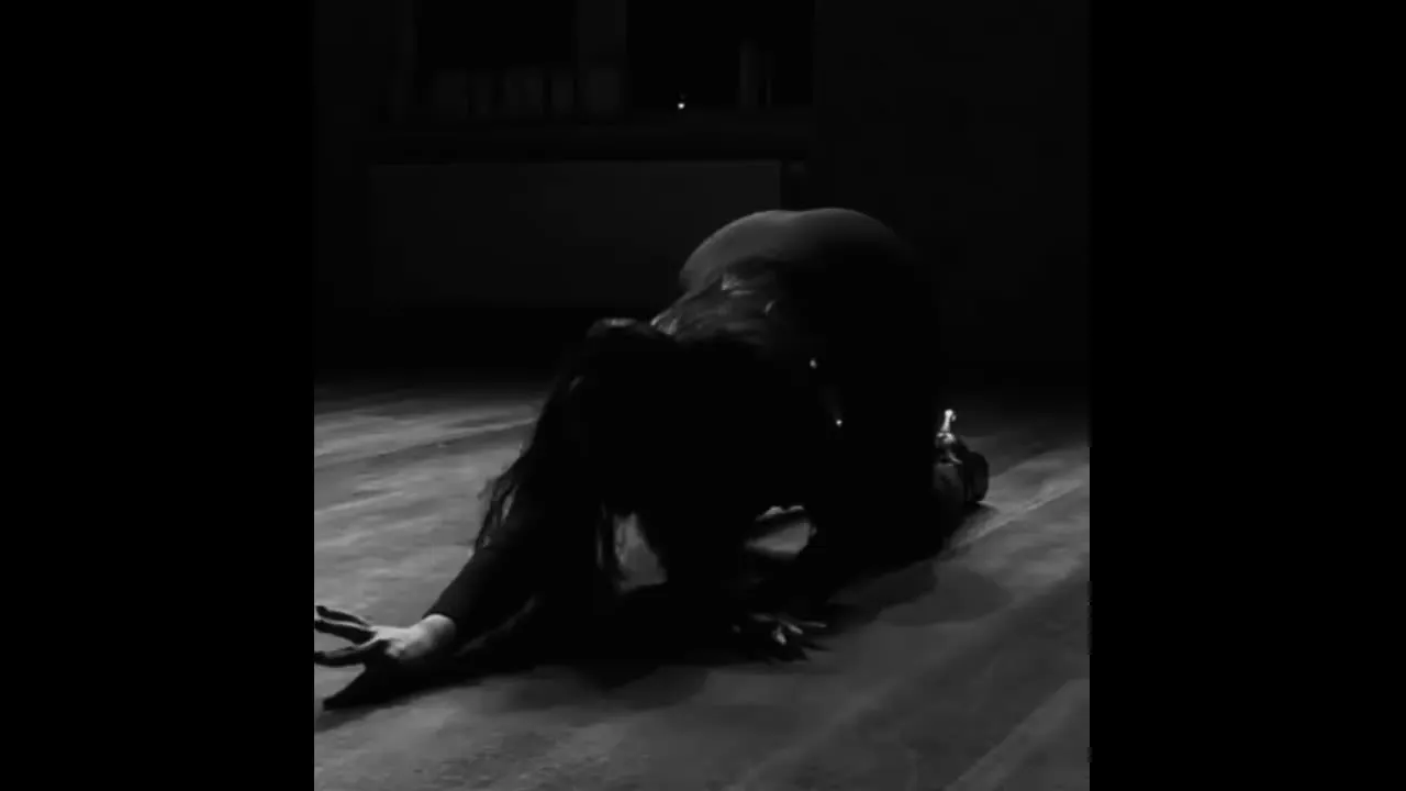 Mistress Serena owns your focus. Watch and obey without question.