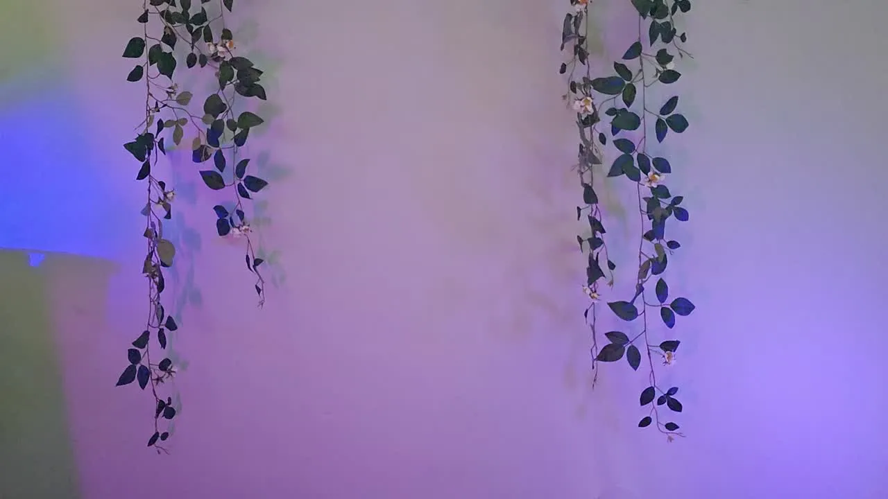 mag ik op je gezicht zitten?